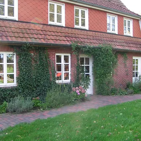 Schwalbennest Auf Der Wurt Sinsum *